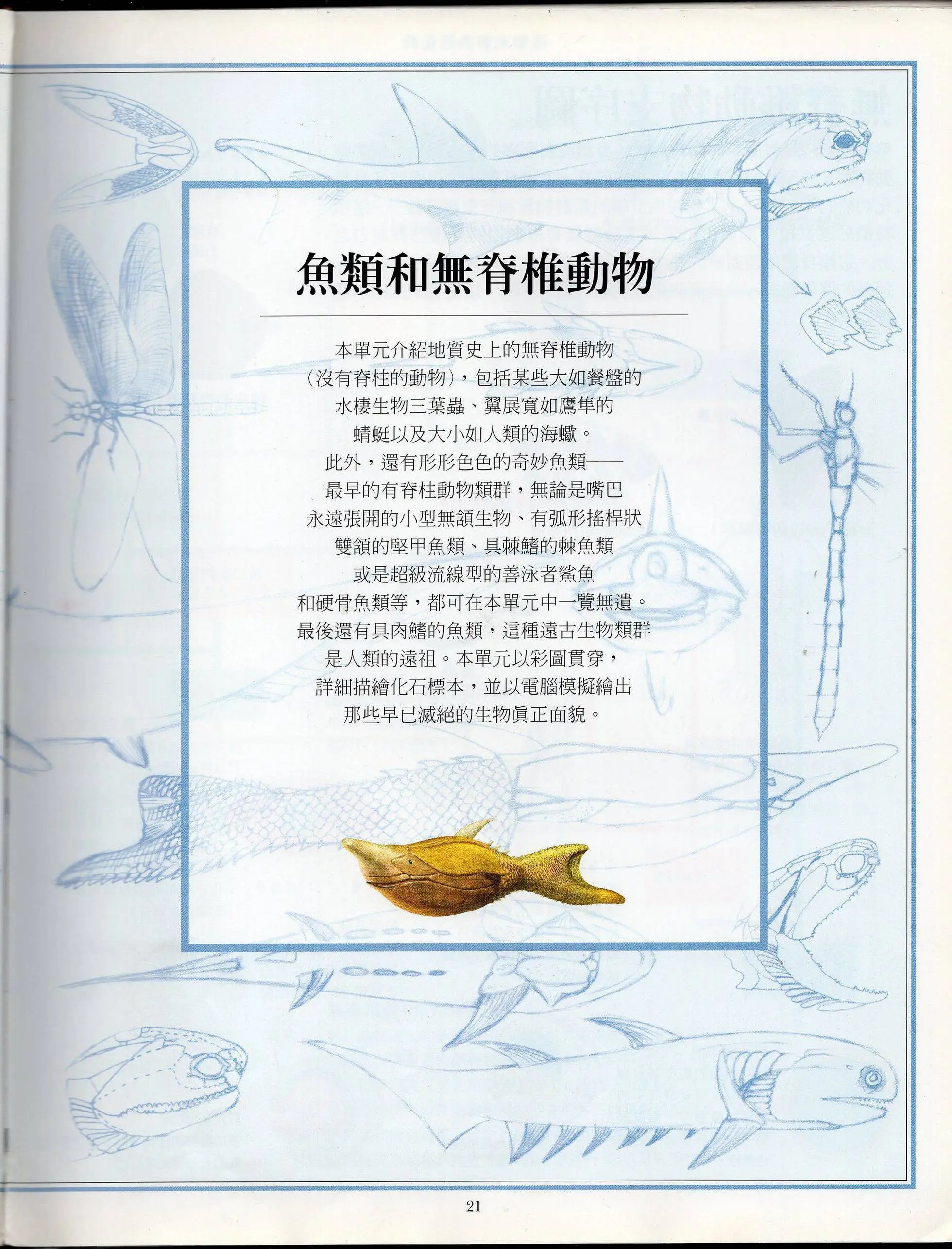 全一卷上