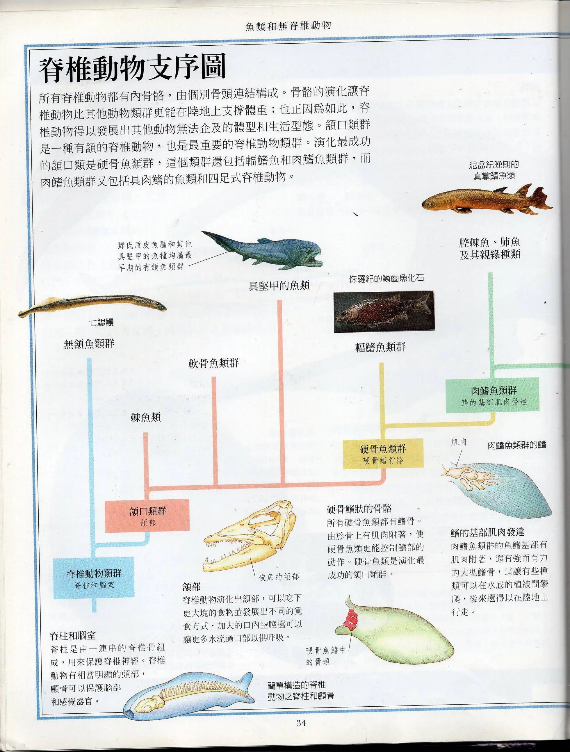 全一卷上