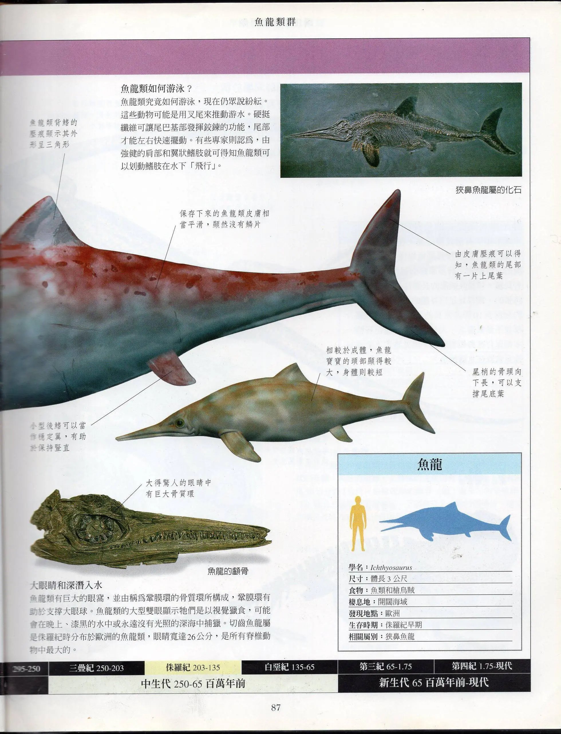 全一卷上