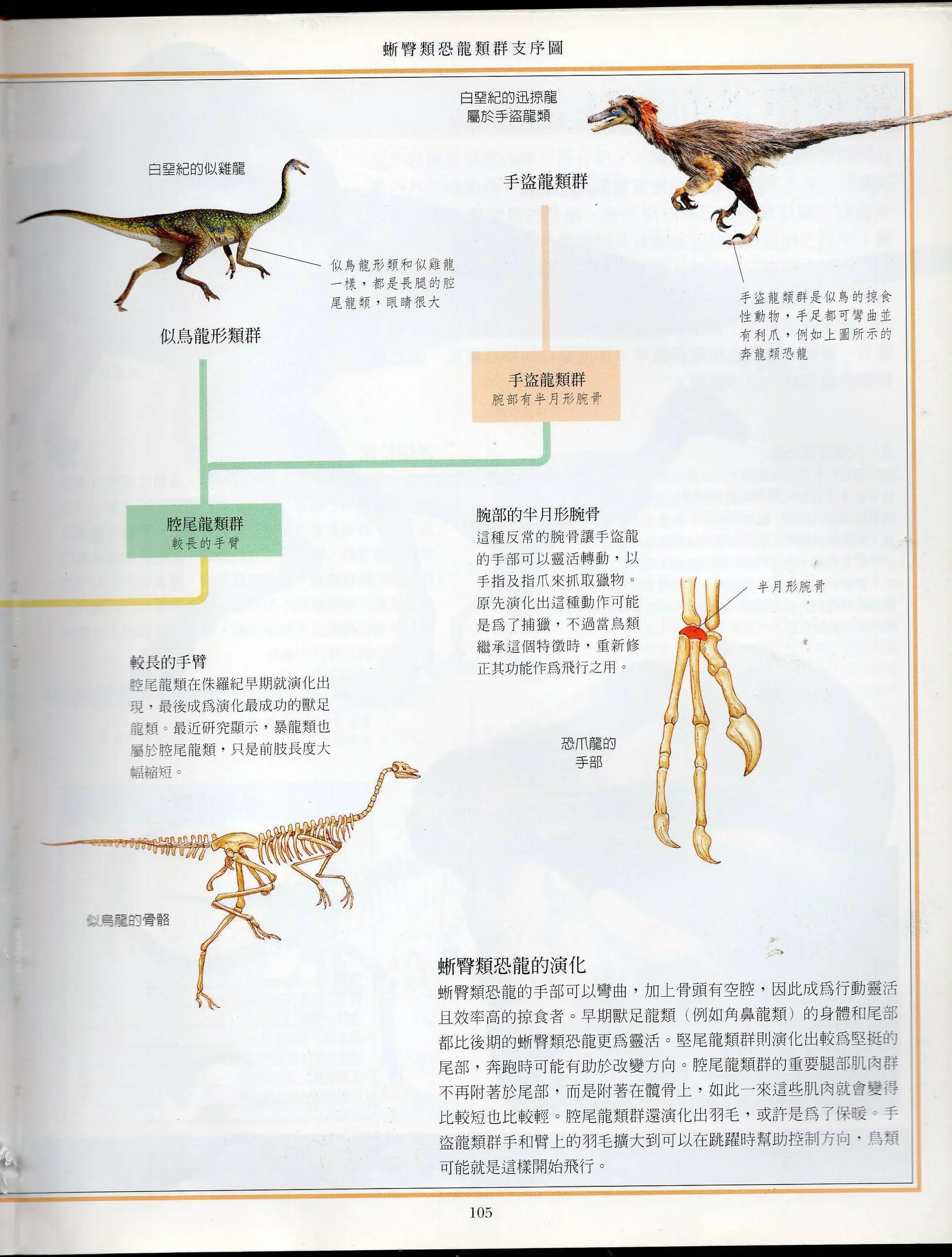 全一卷上