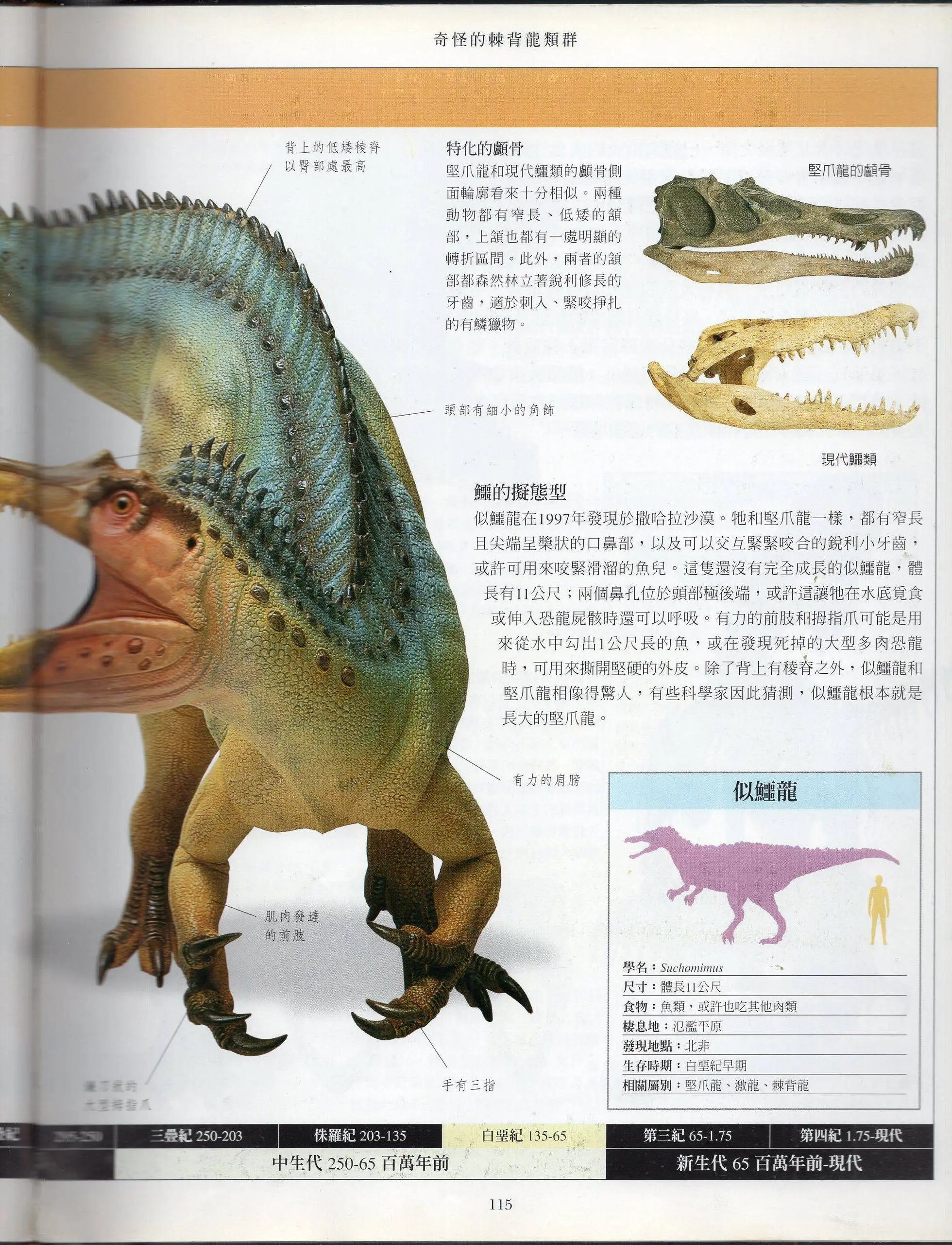 全一卷上