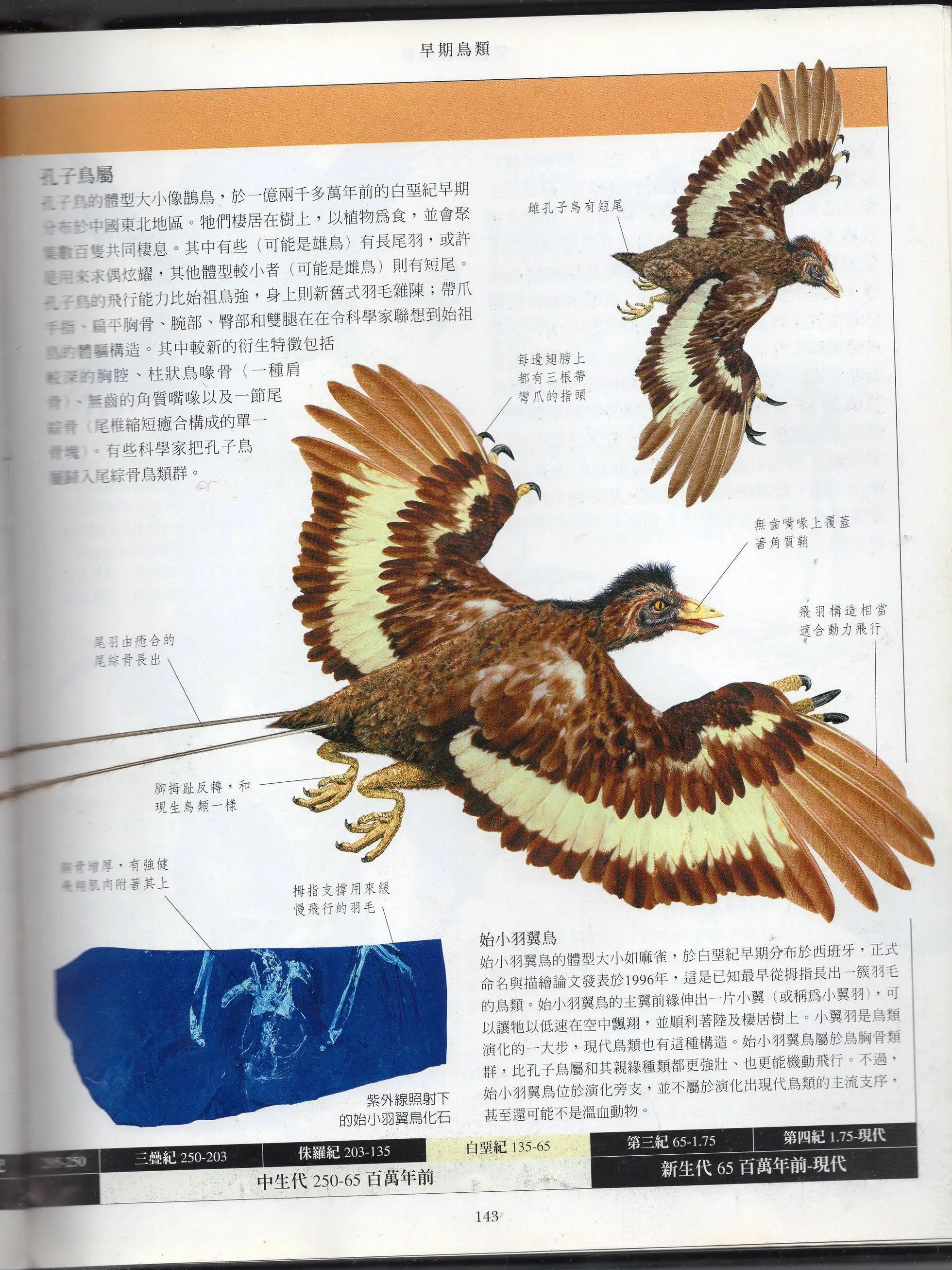 全一卷上