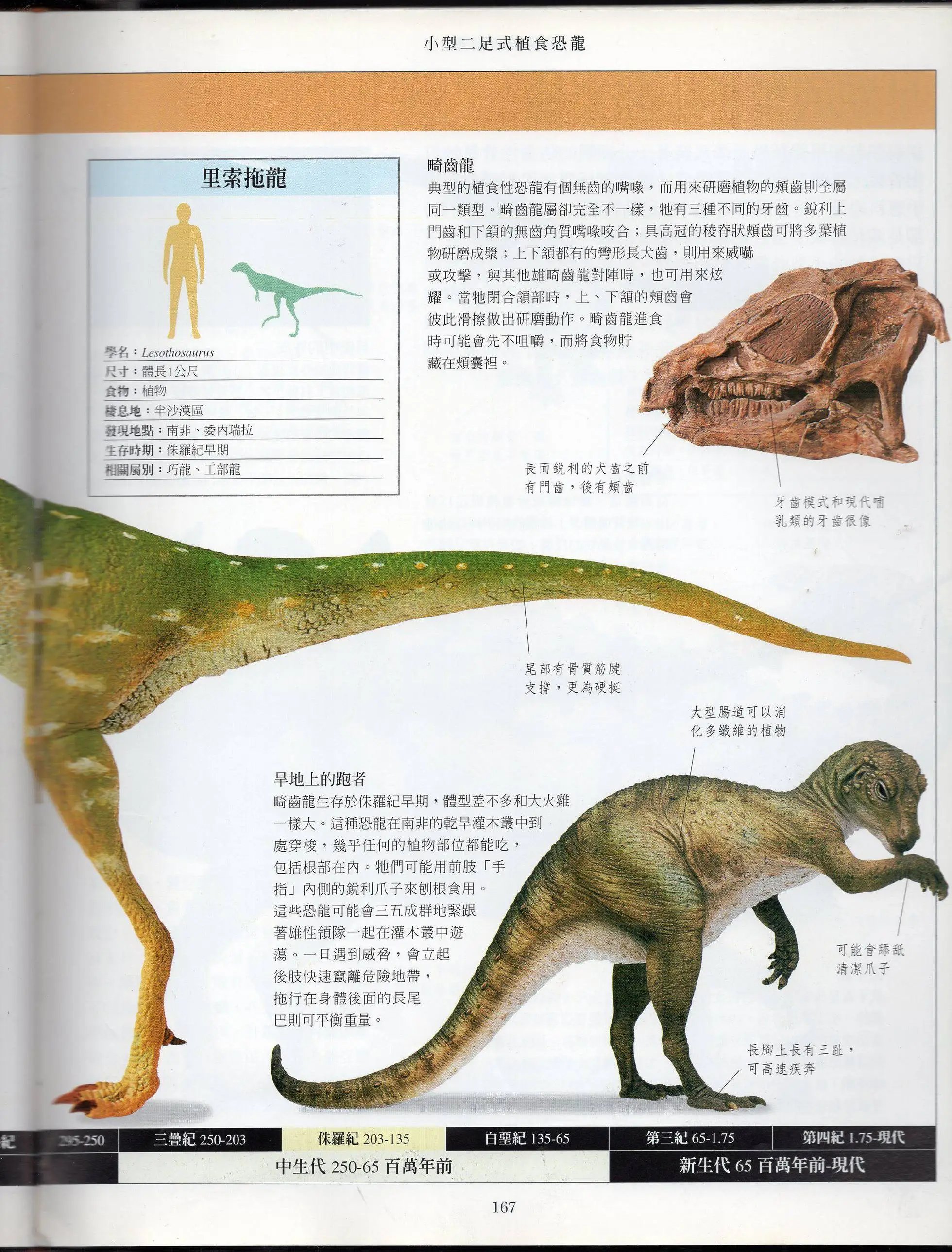 全一卷上