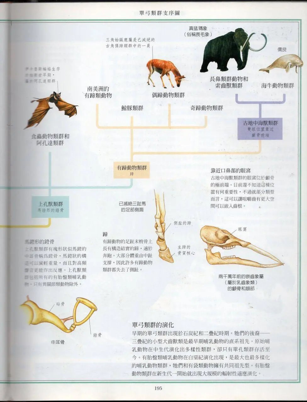 全一卷上