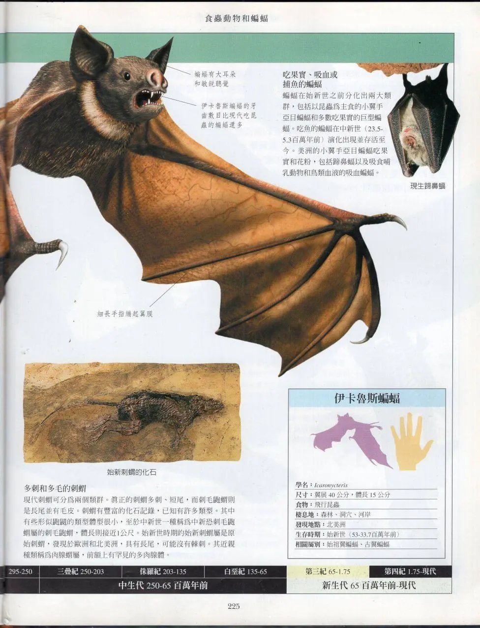 全一卷下