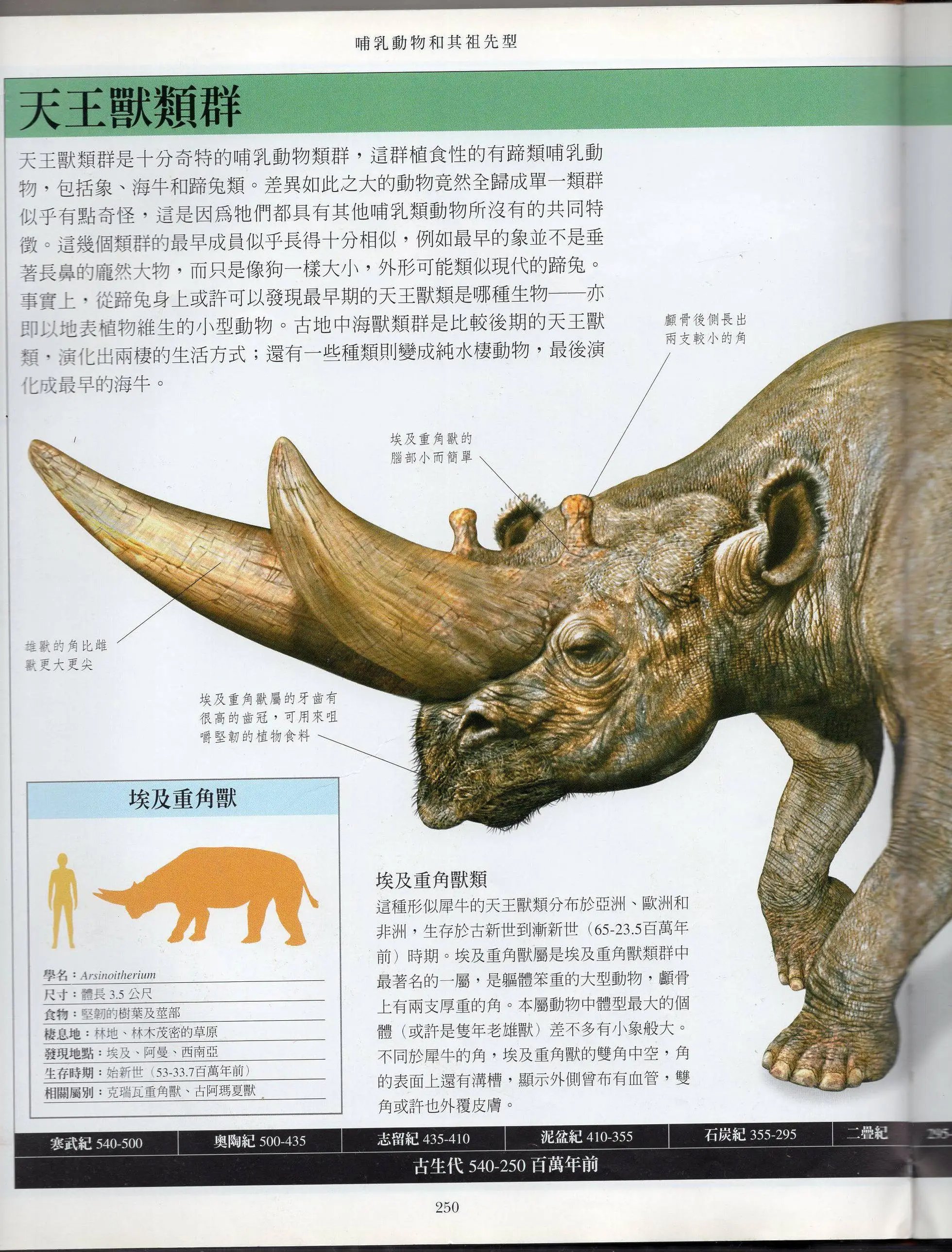 全一卷下