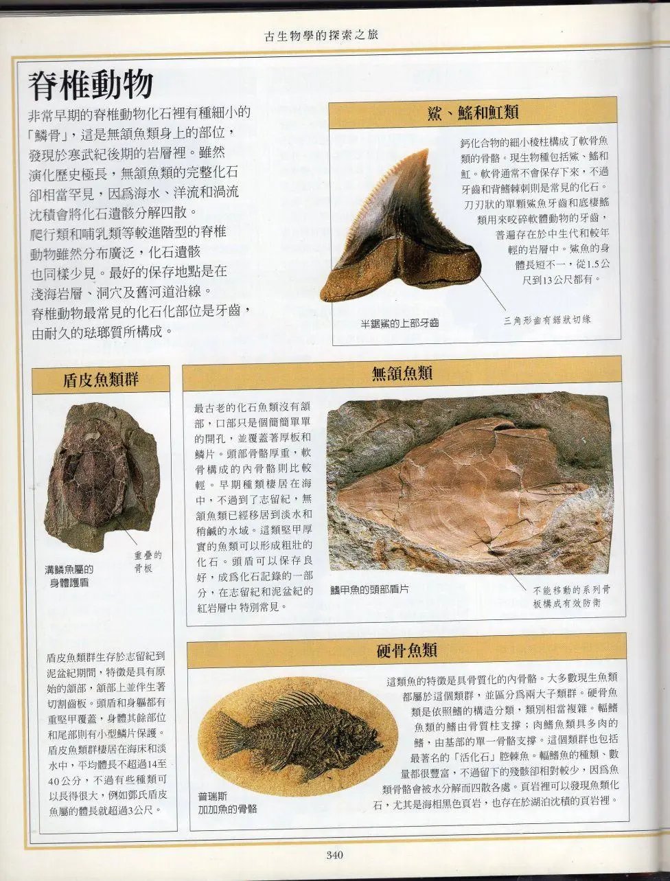 全一卷下