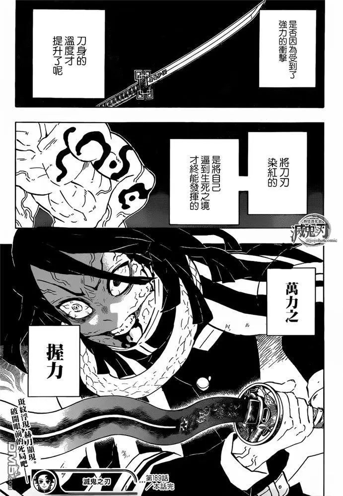 第189话 可靠的同伴