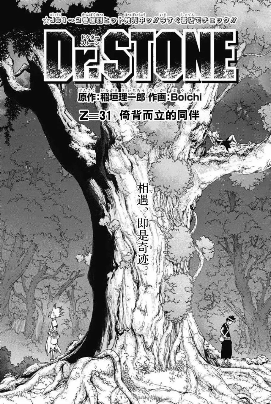 第31回
