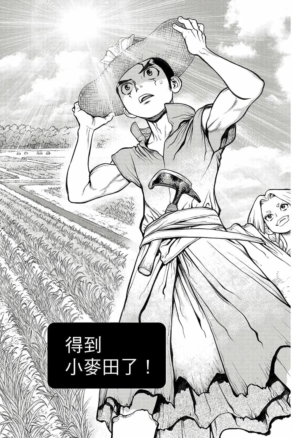 第11卷