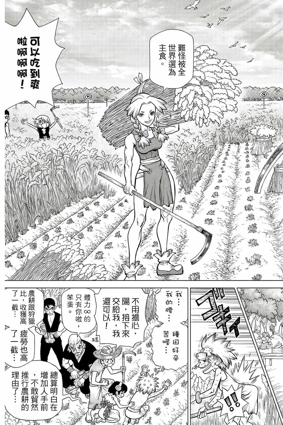 第11卷