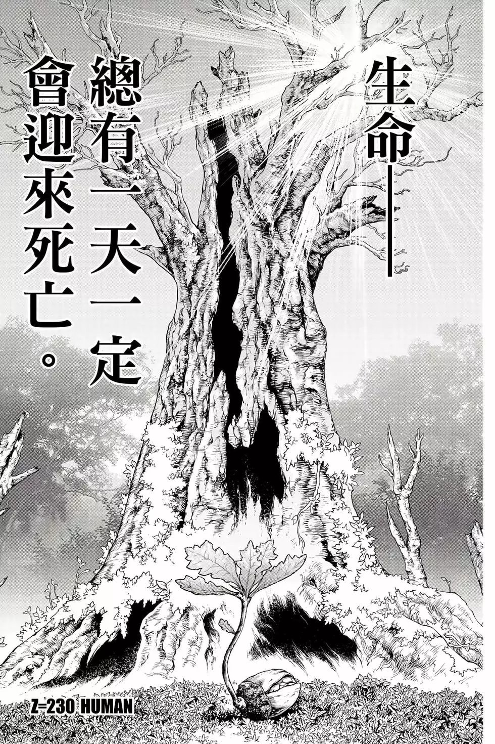 第26卷