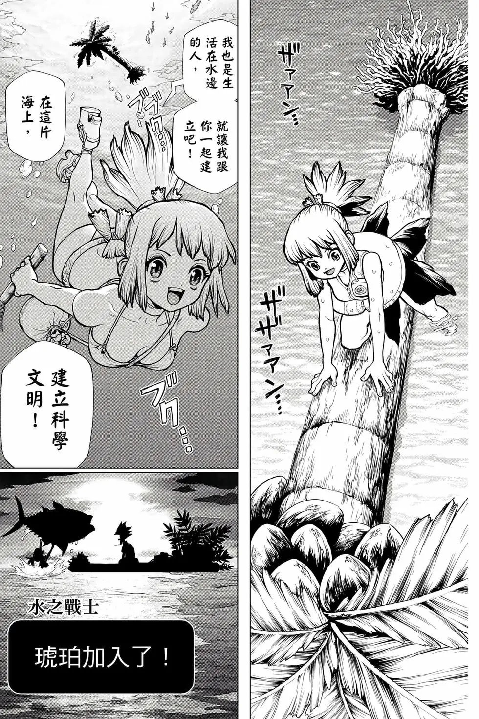 第27卷