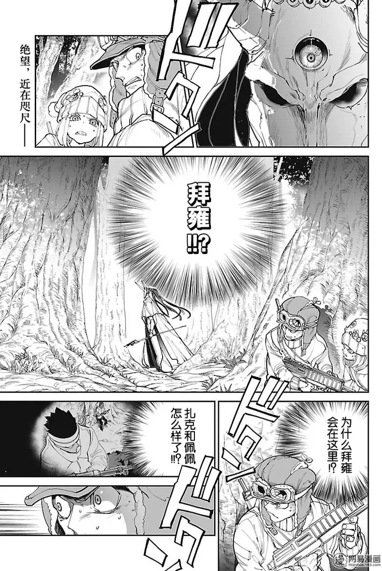 第81回