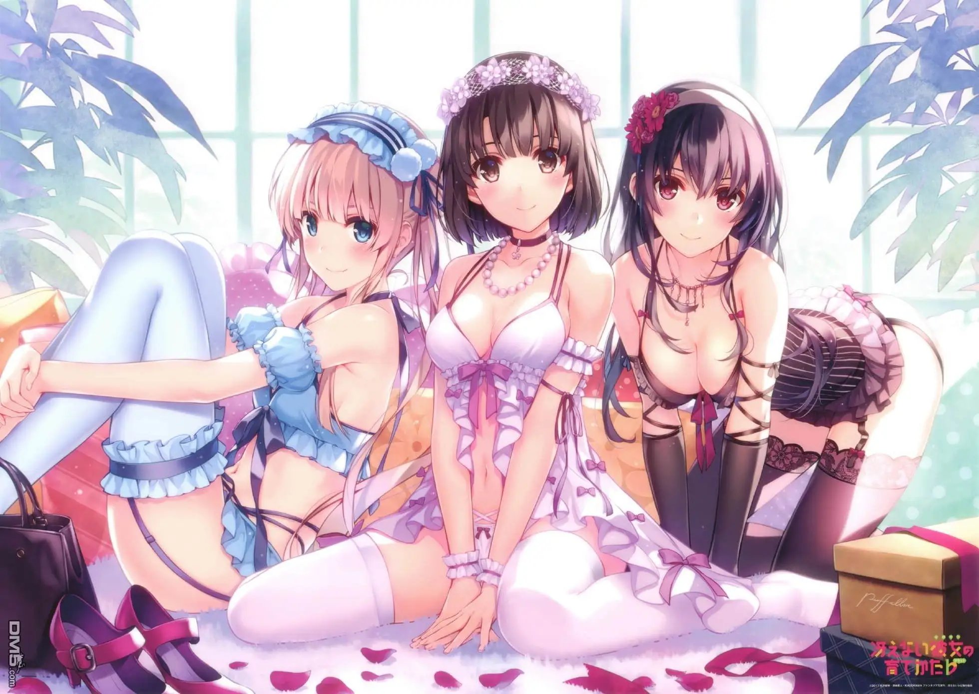 第278话 蠢蠢欲动之夜