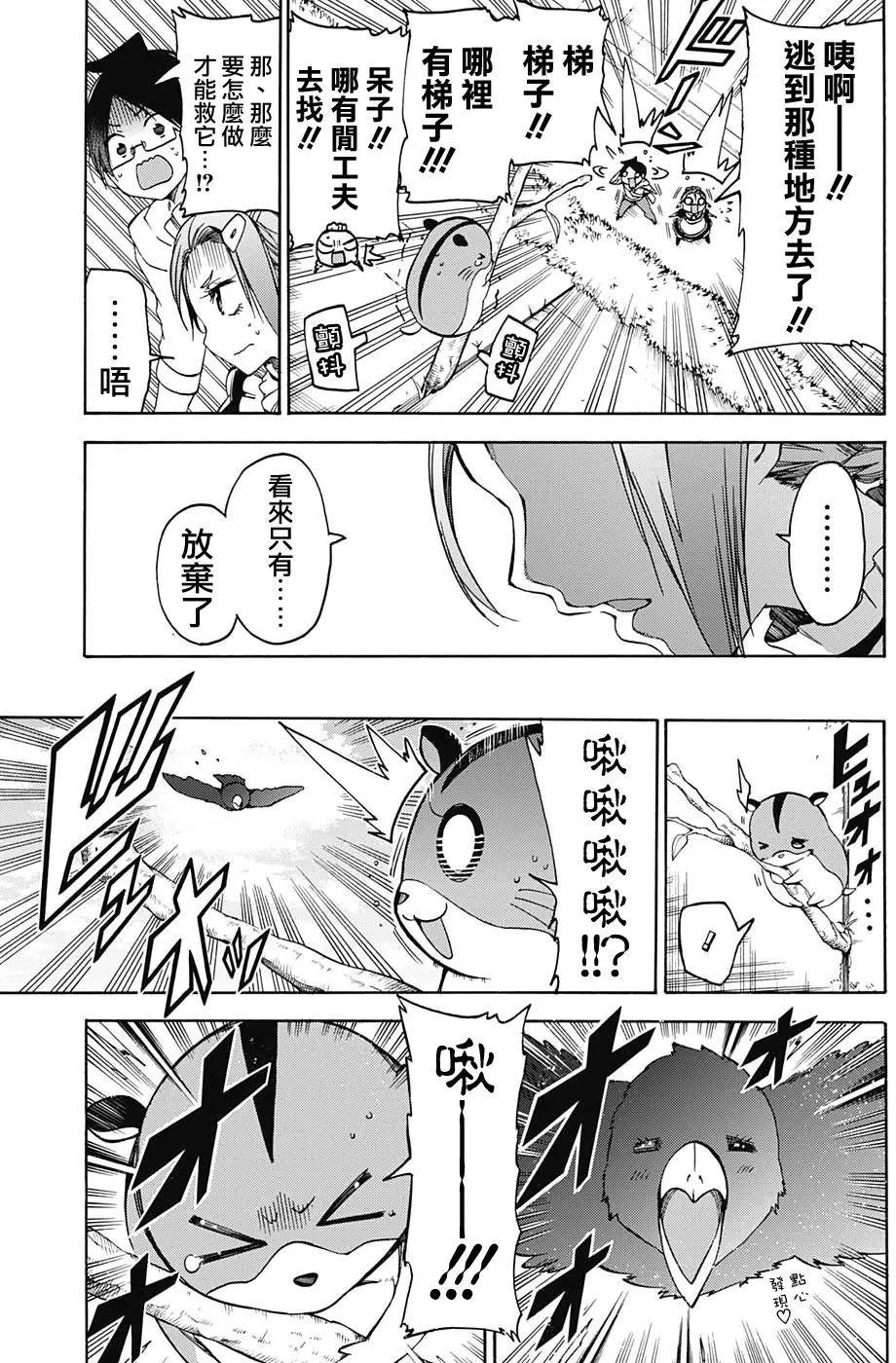 第71回