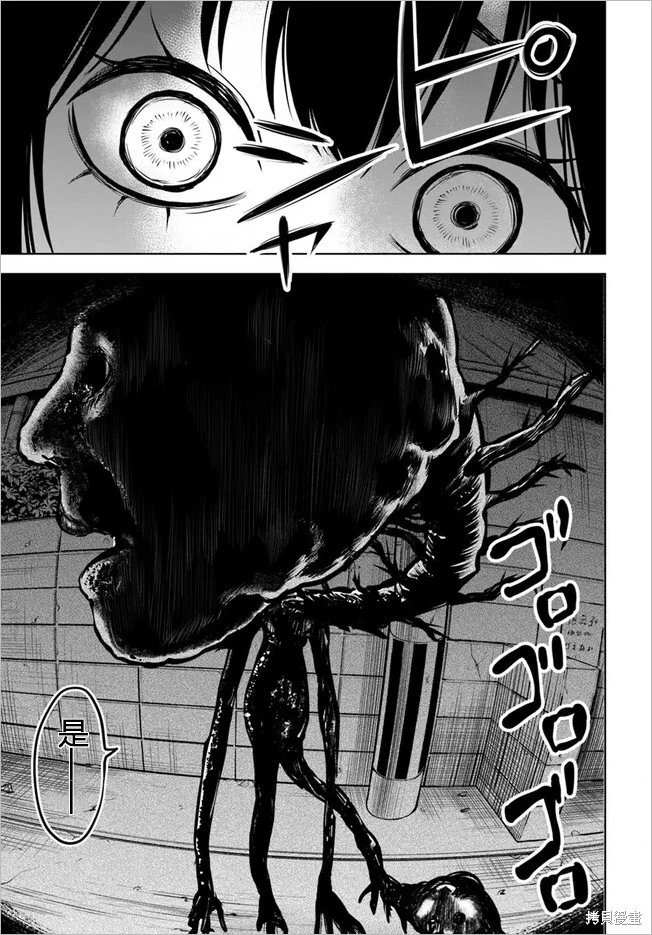 连载51试看