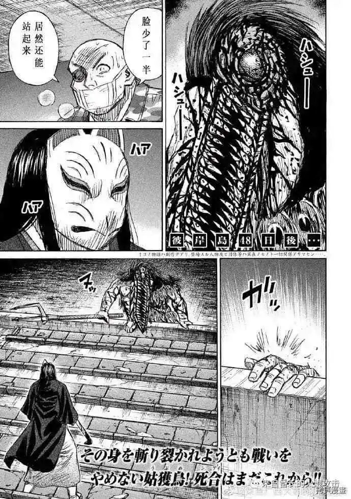 第213话