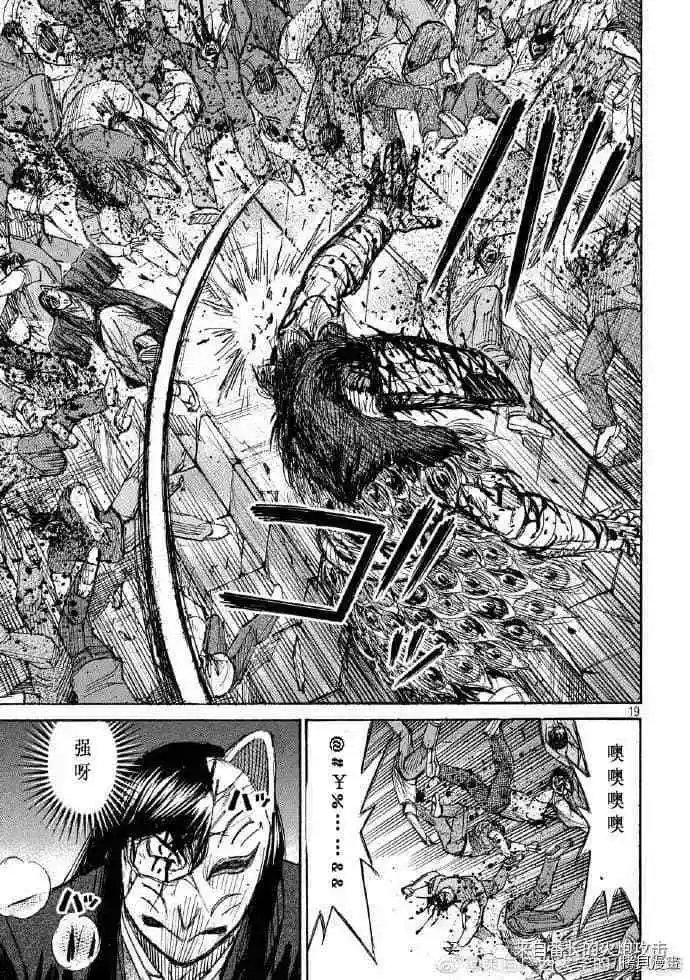 第213话
