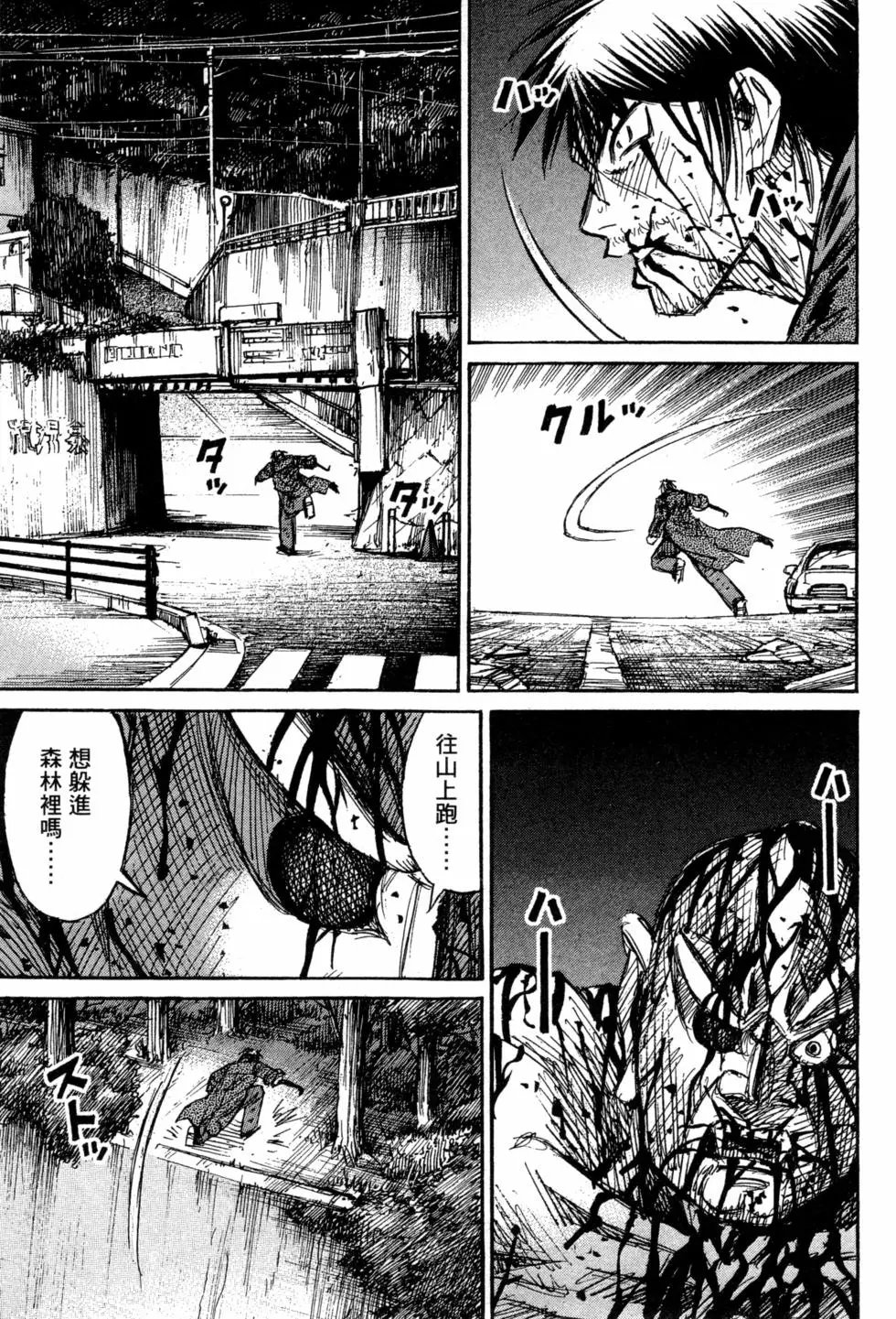 第13卷