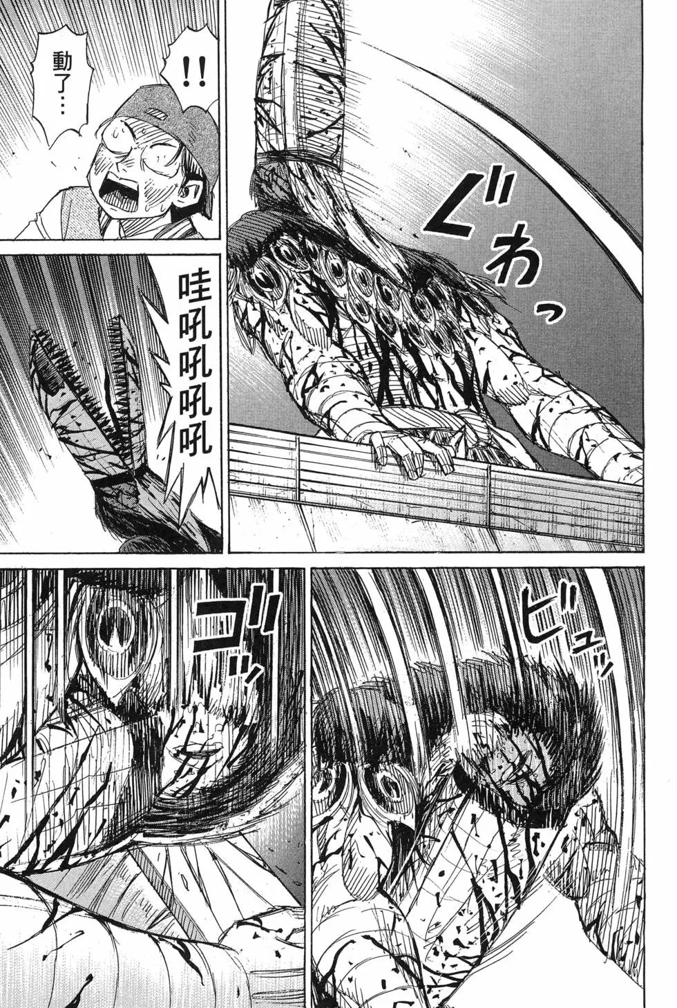 第23卷