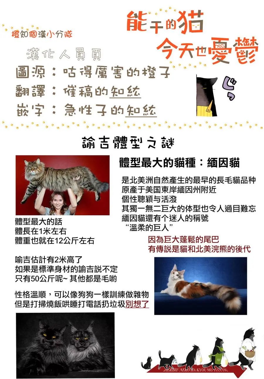 第5.1回
