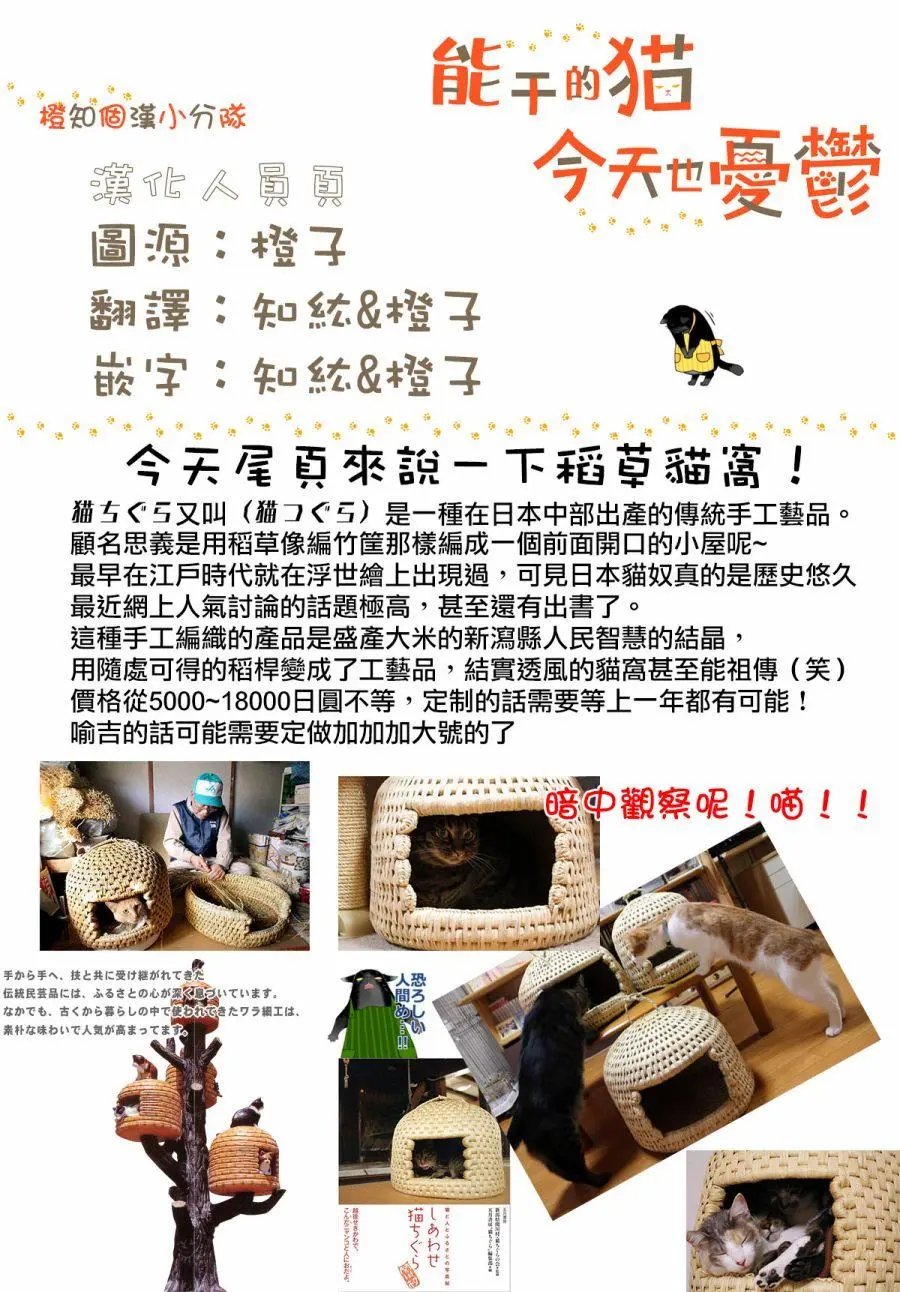 第3.1回