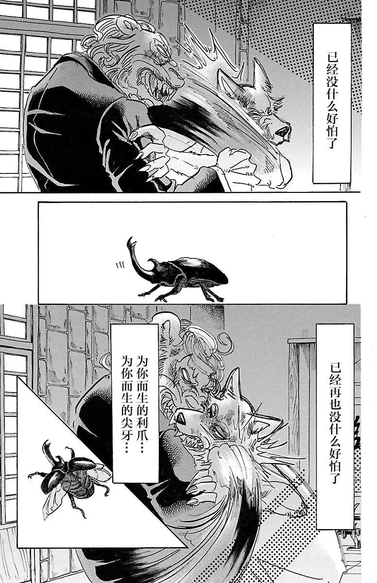 第41回