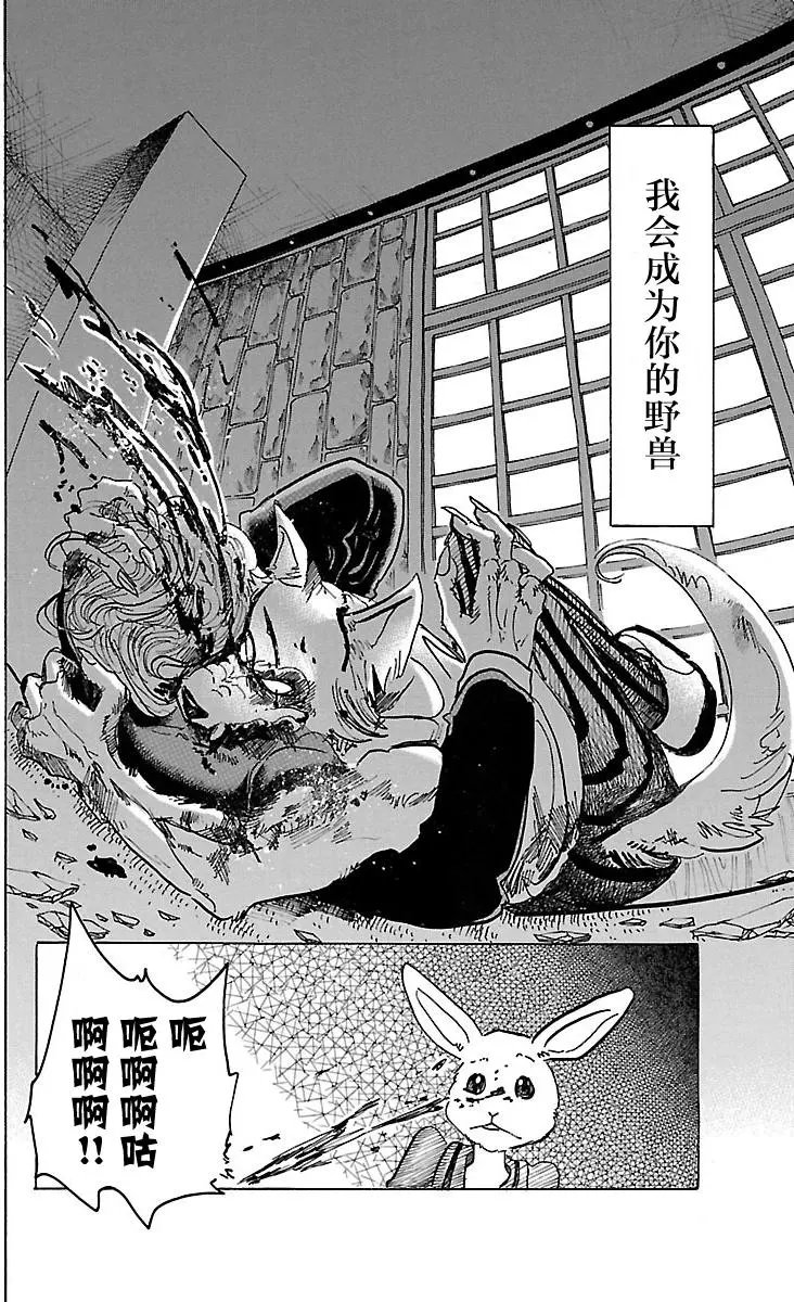 第41回