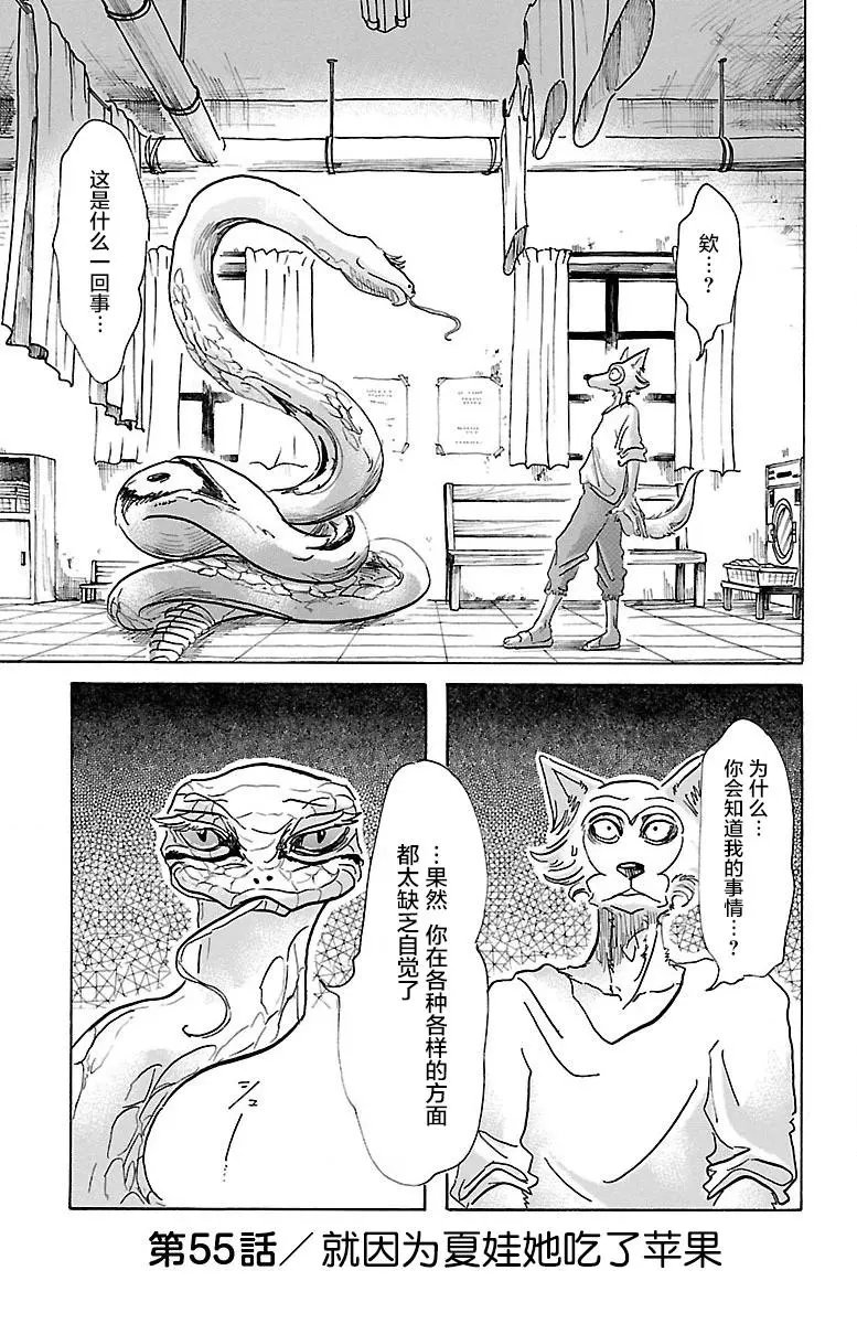 第55回