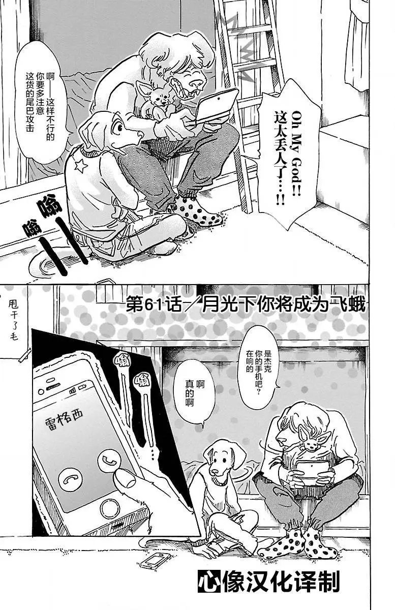 第61回