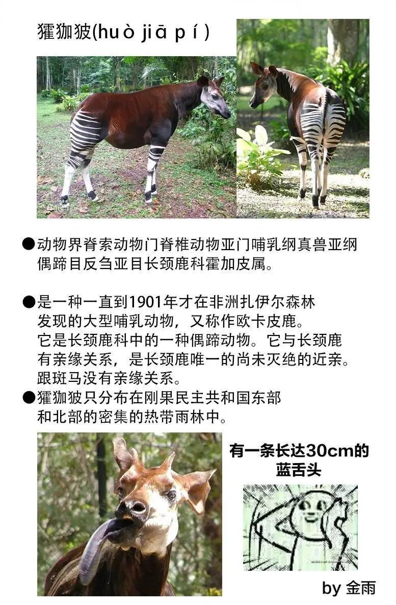 第64回