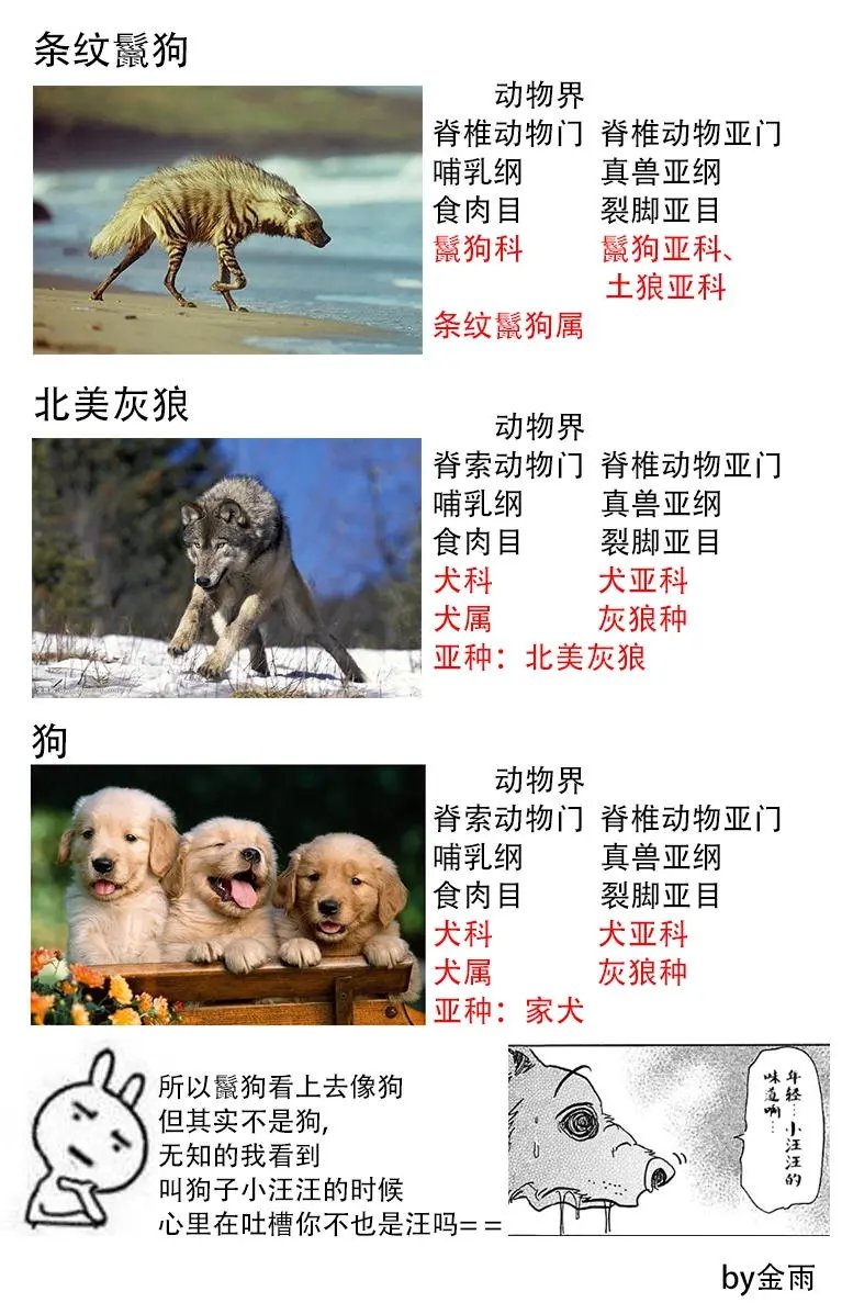 第68回