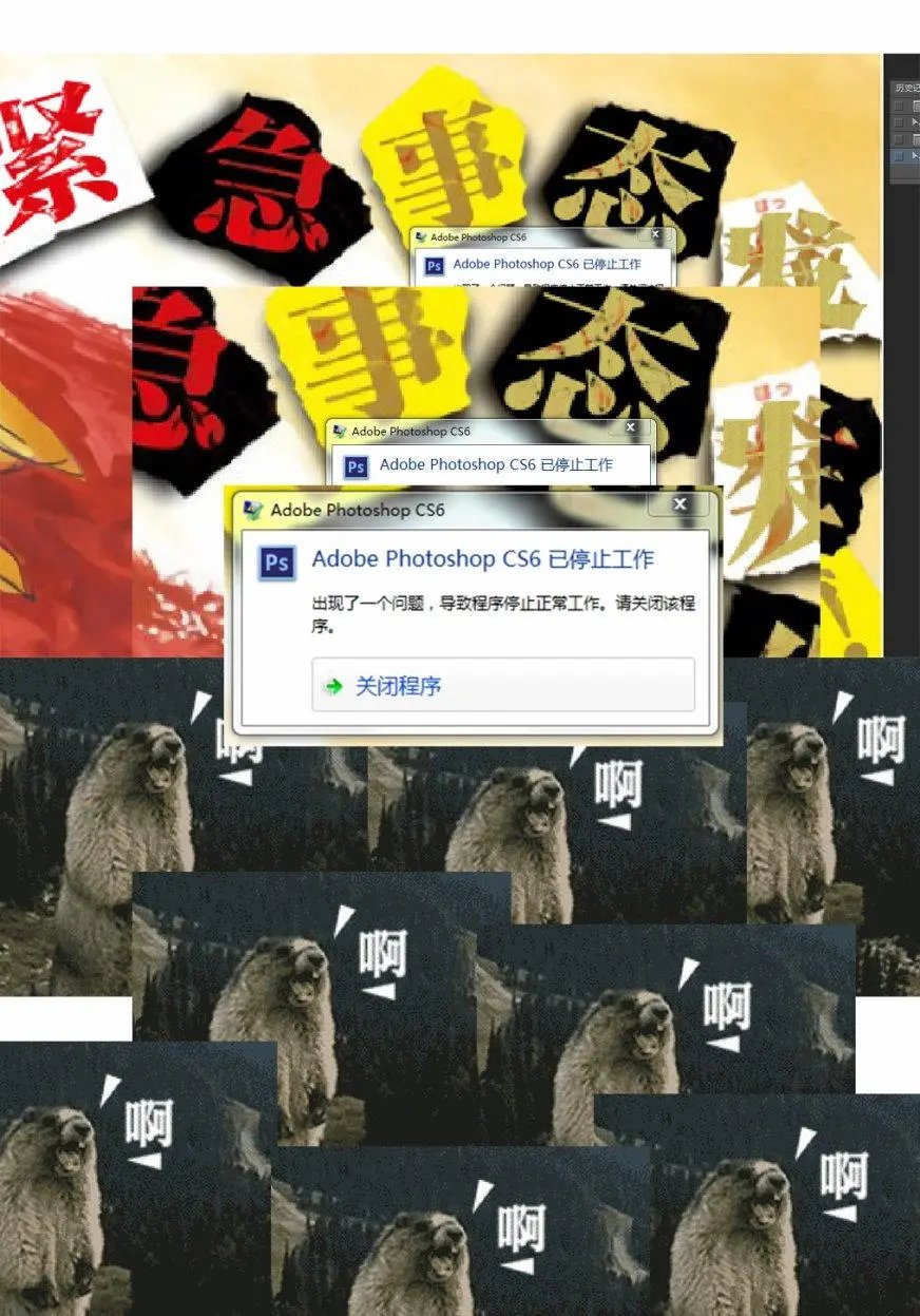 第84回