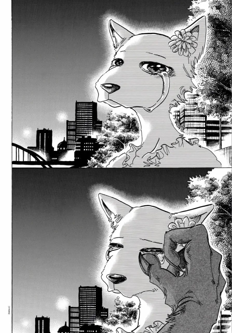 第86回