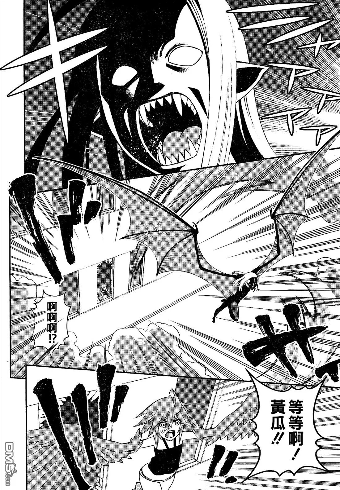 第51回