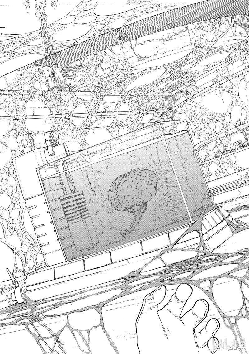 第188.5话
