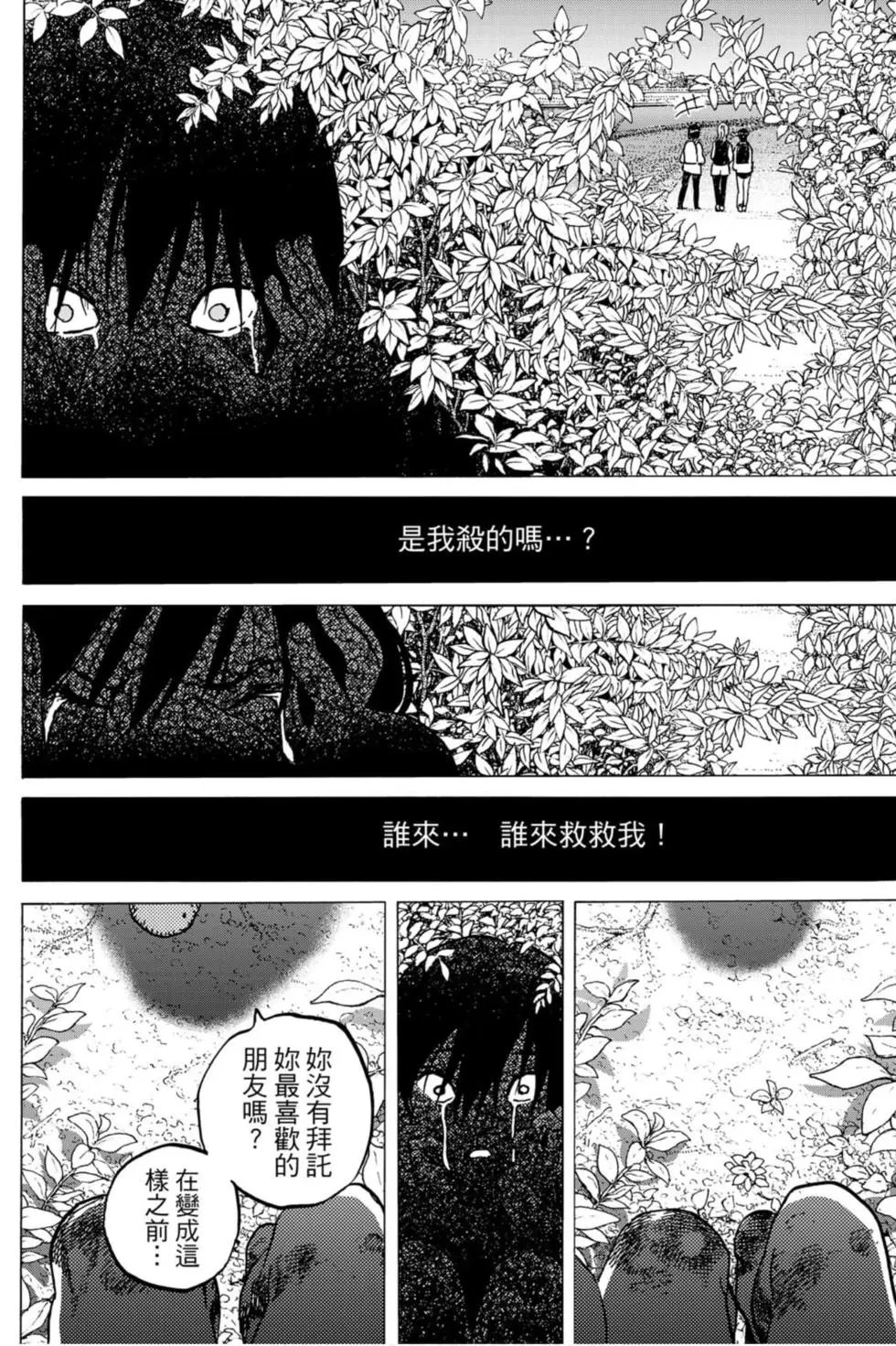 第13卷
