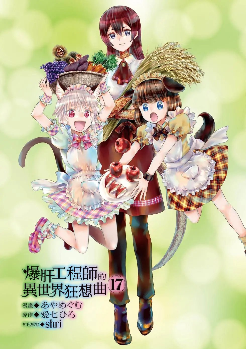 第17卷