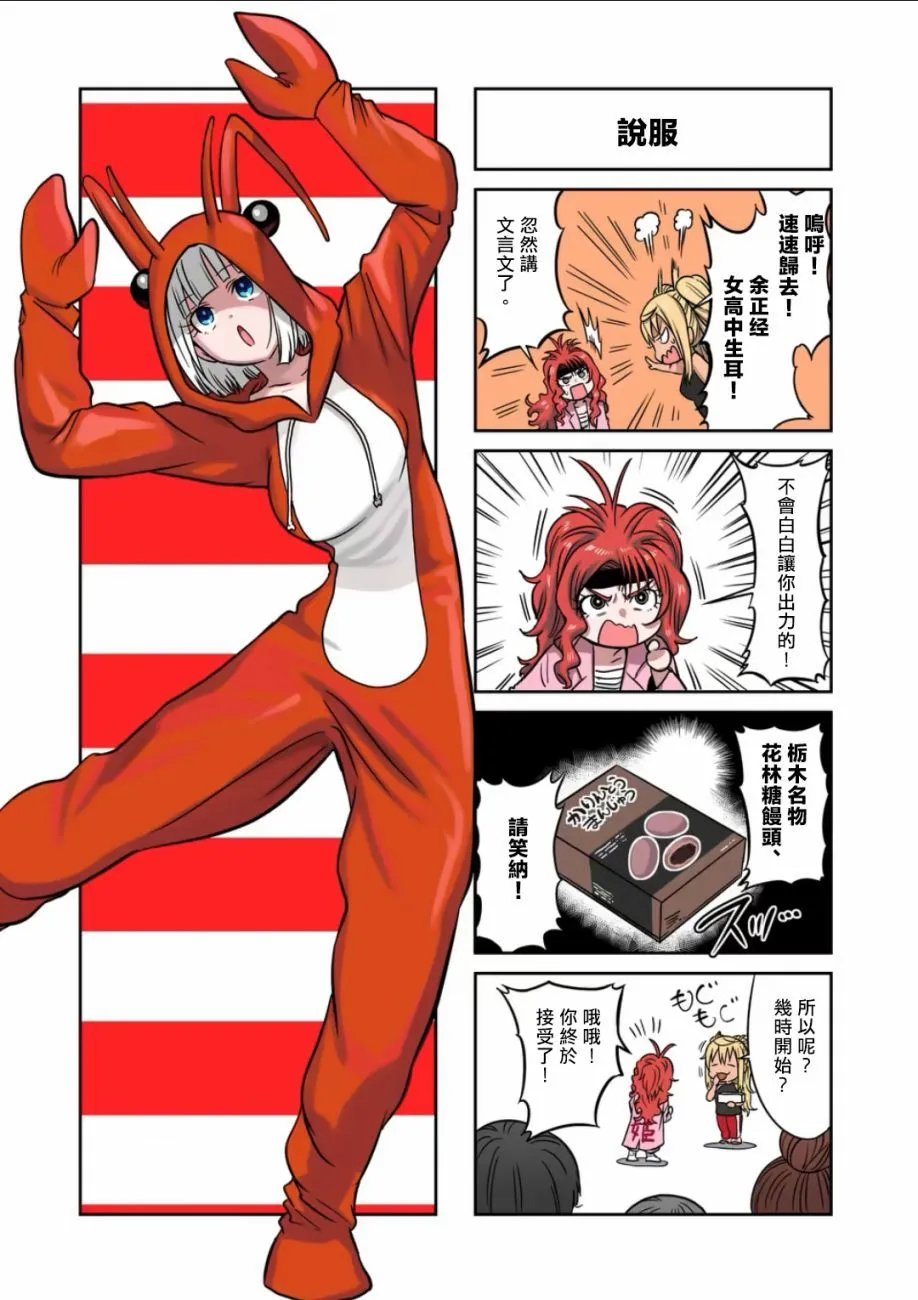 13卷4格