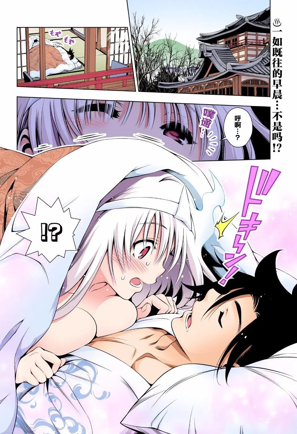 第46回