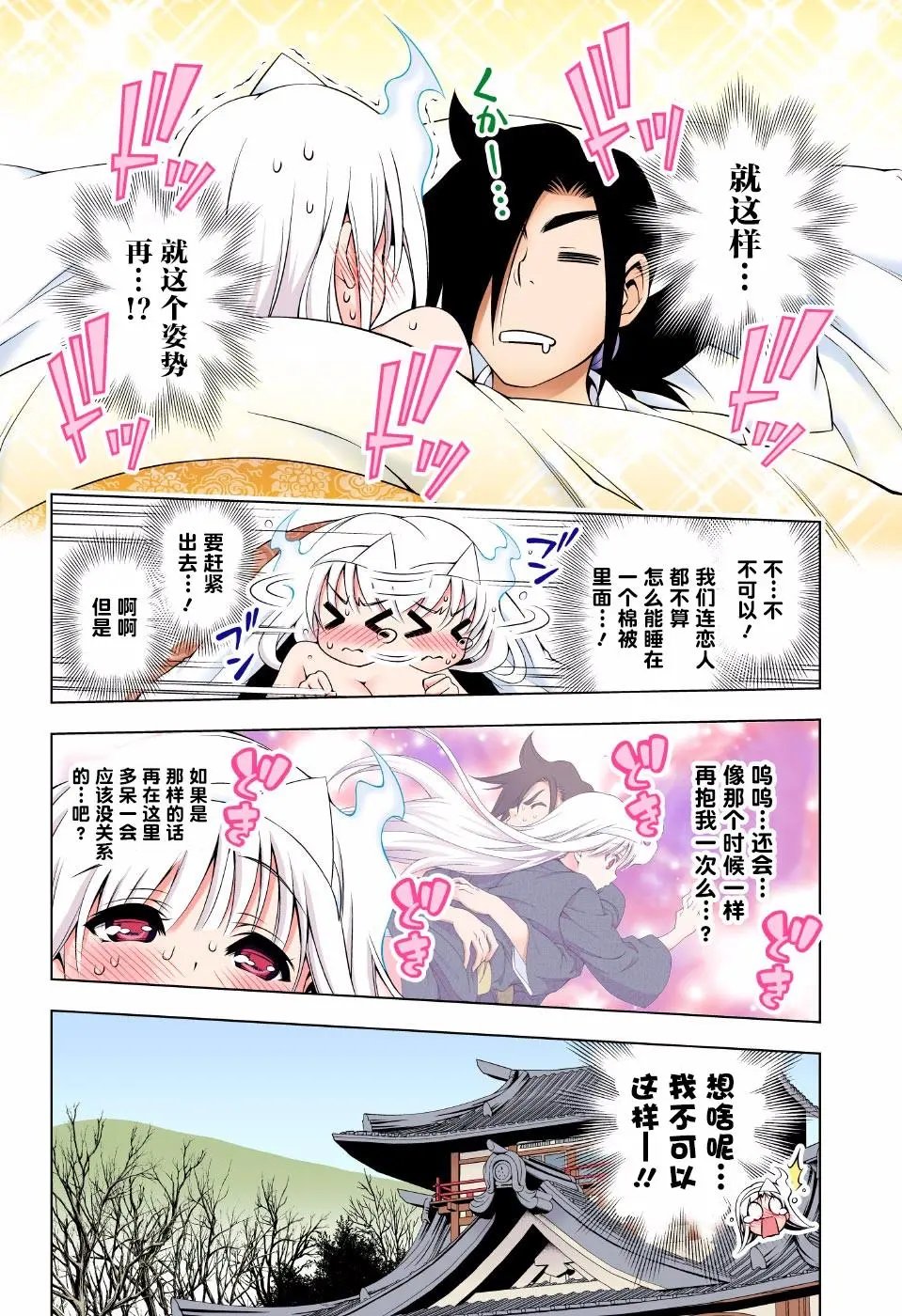 第46回