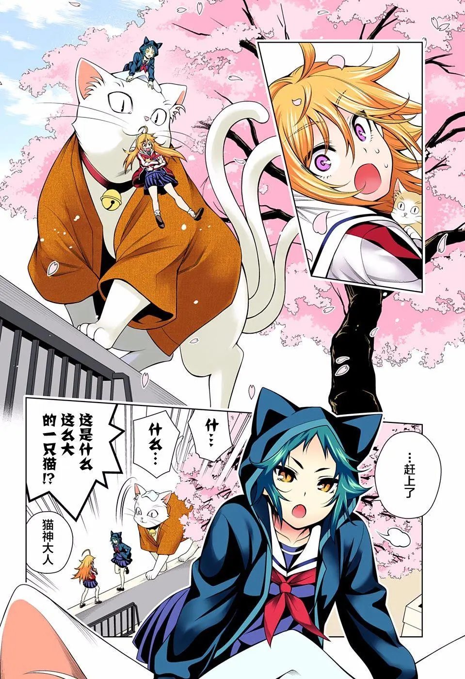 第75回