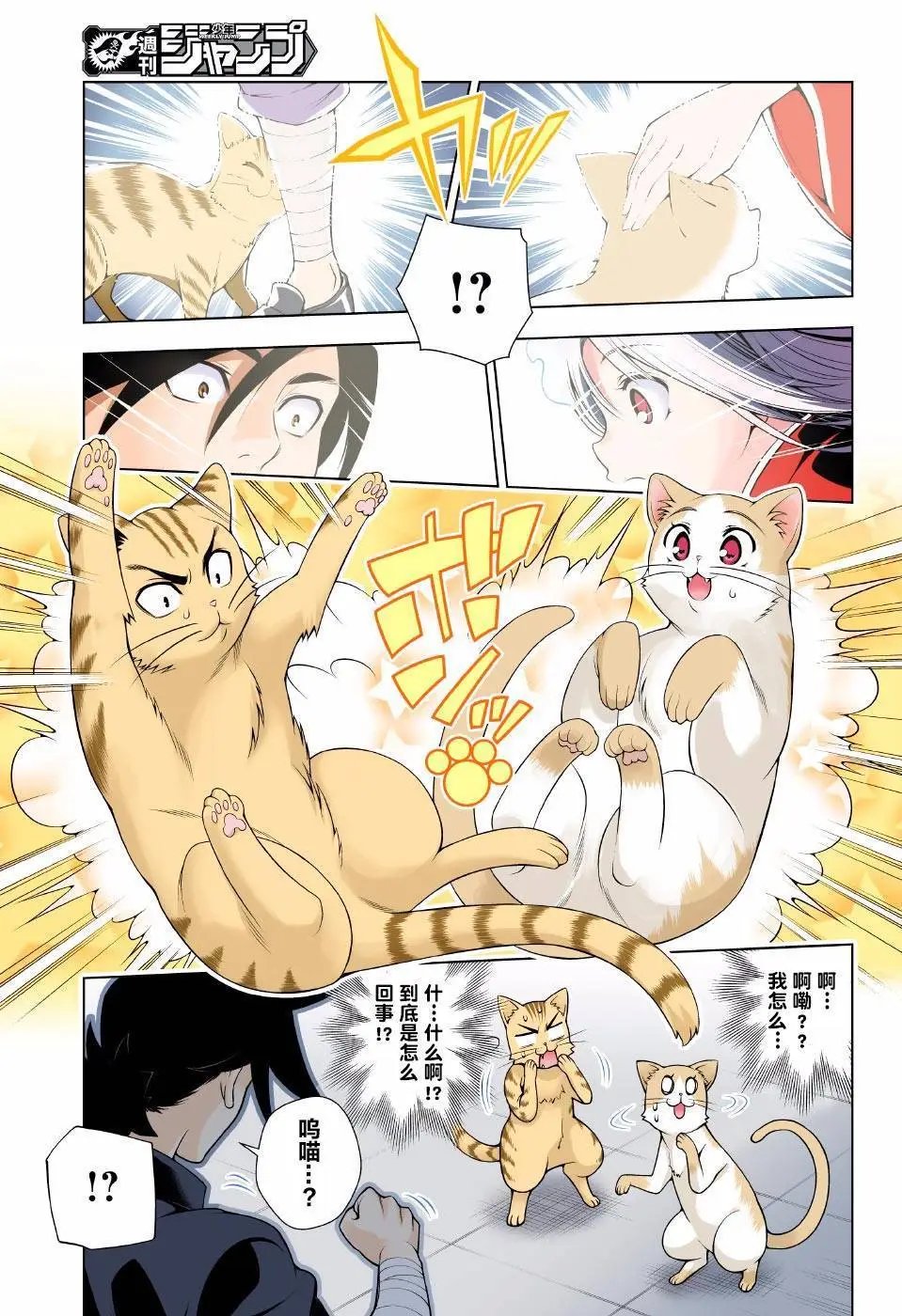第81回