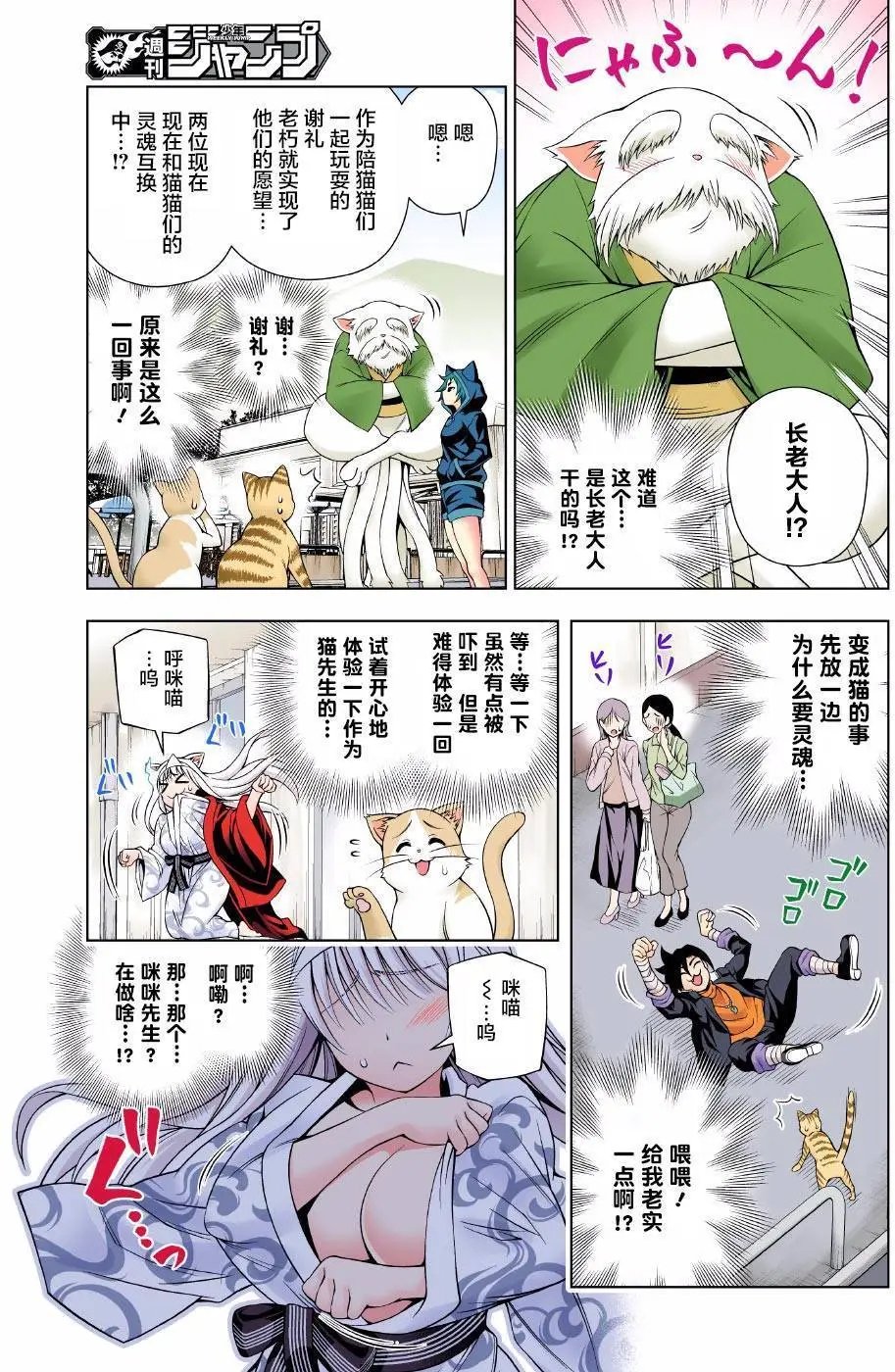 第81回