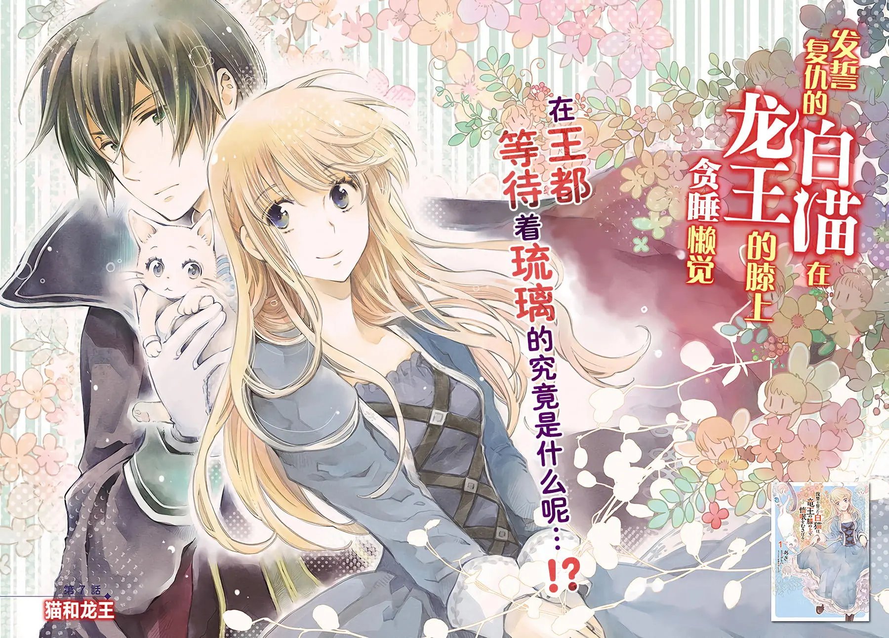 第7.1回