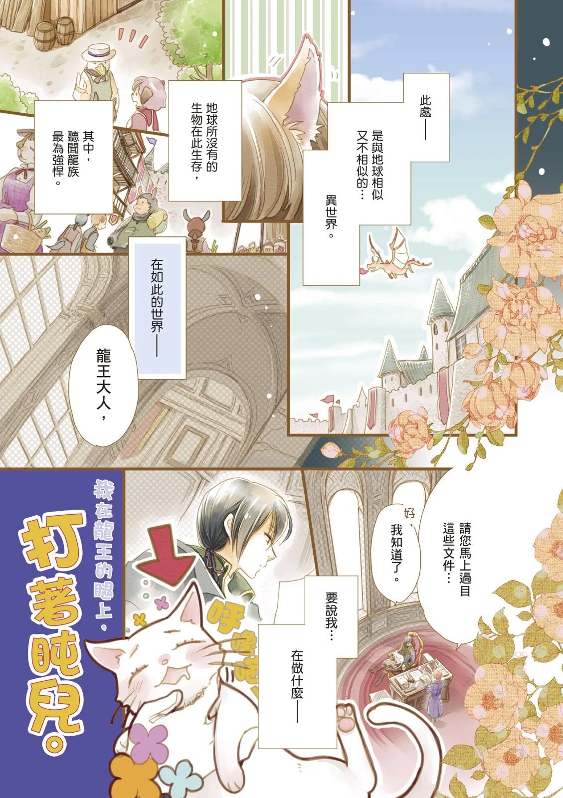 第01卷