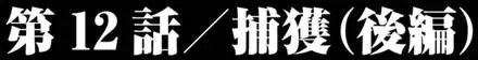 第21回 捕获（后篇）