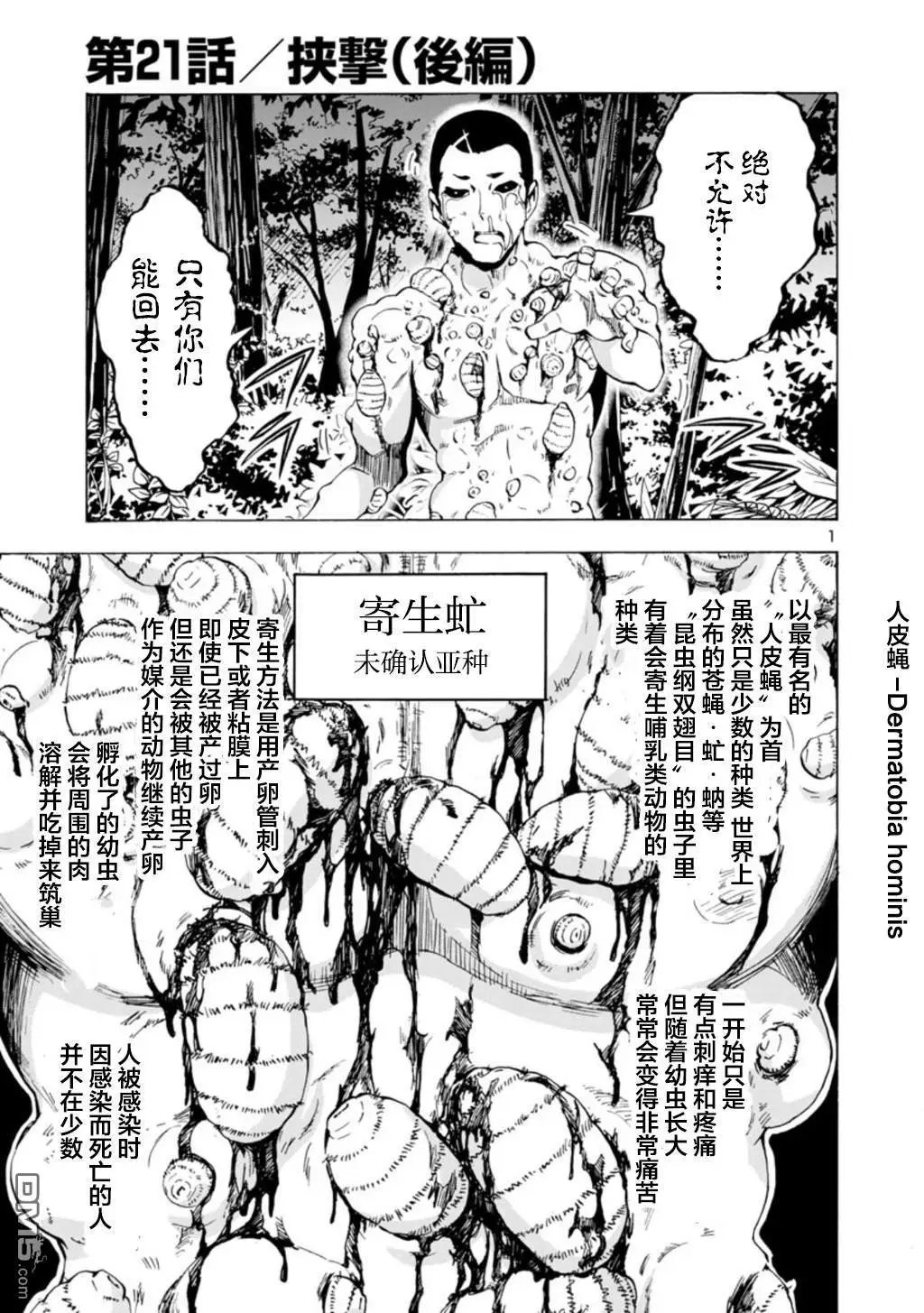 第31话 夹击