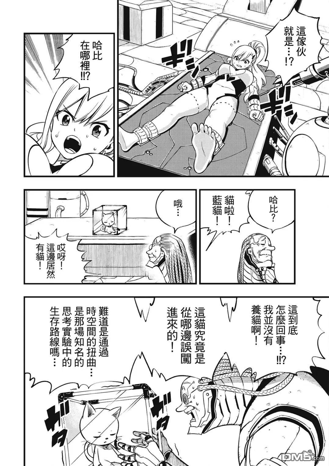 第243话 那只猫是打哪来的